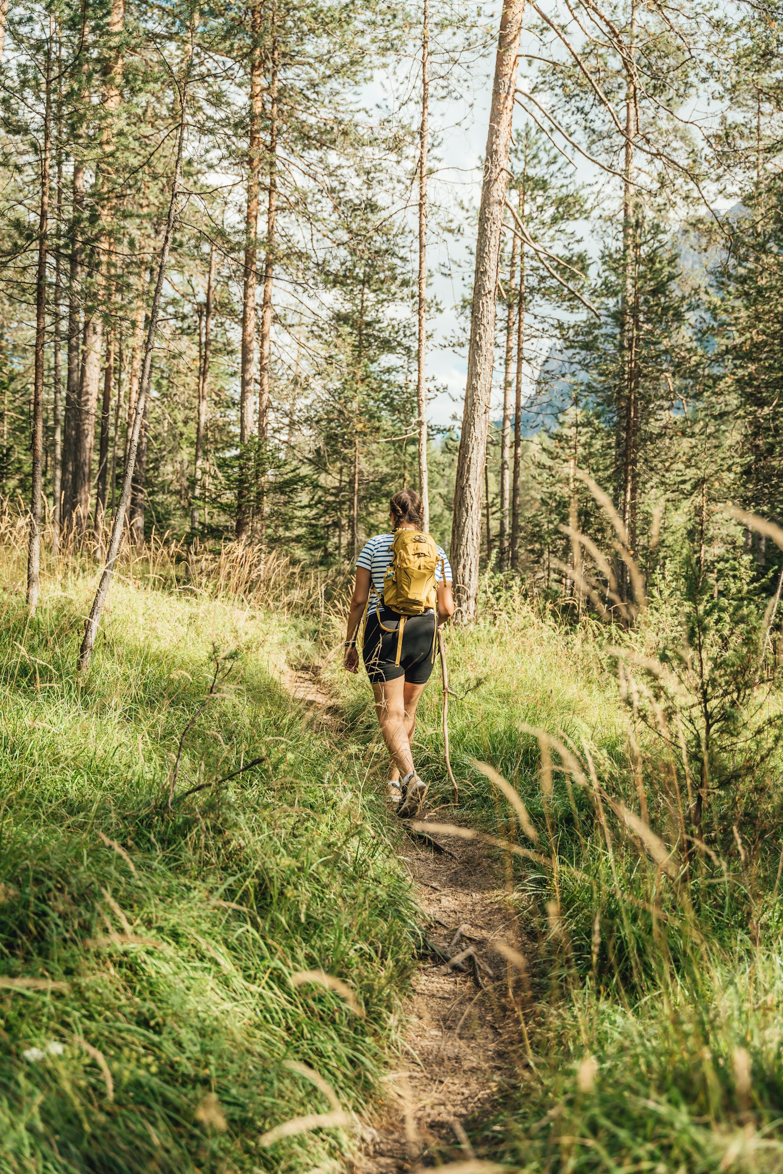 A person hiking a forest path with a backpack